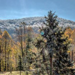 Group Profile photo of Lumina Main Group